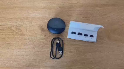 Baseus Inspire Earbuds